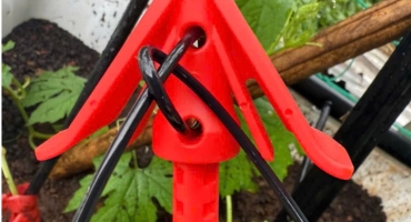 Tắc Kê Đất Long An – Giải Pháp Cố Định Cây Trồng Hiệu Quả Cho Nhà Vườn