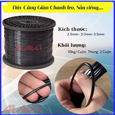 DÂY NHỰA ĐẶC PET KHÔNG LÕI 3.0MM