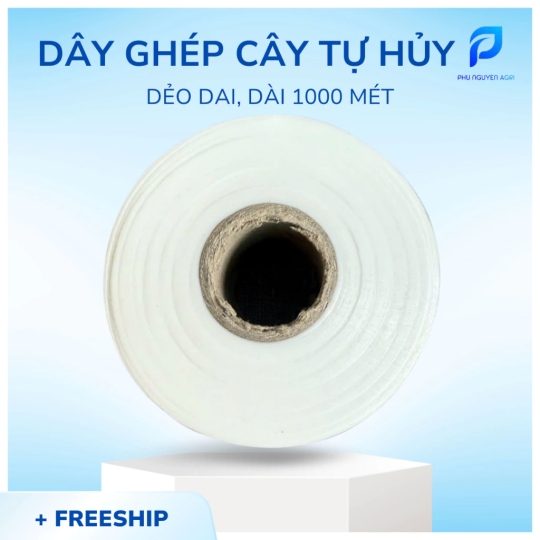 Giấy ghép cây tự hủy 10cm