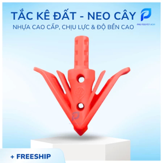 Tắc kê đất neo cây màu đỏ